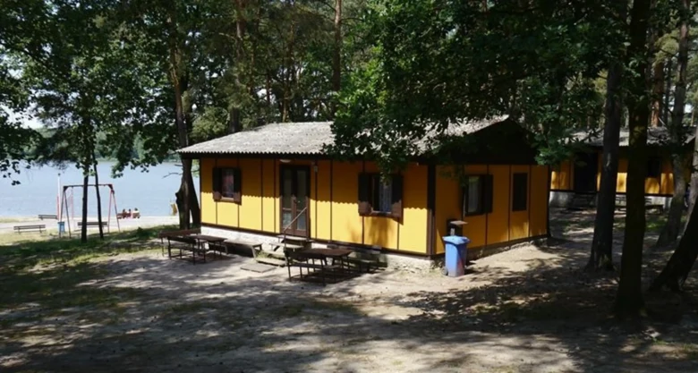 Yellow cabins in forest campsite