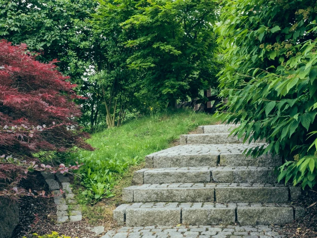Kamenné schody vedoucí po svahu v zahradě s okolní zelení.