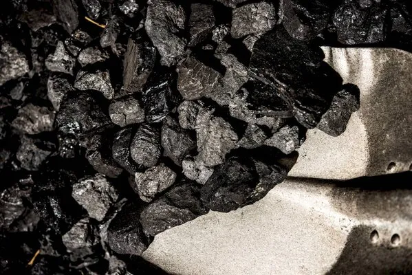 Coal chunks in shovel