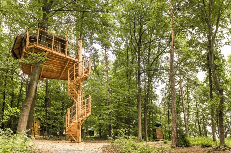 Dřevěný domek na stromech s schodištěm v lesu