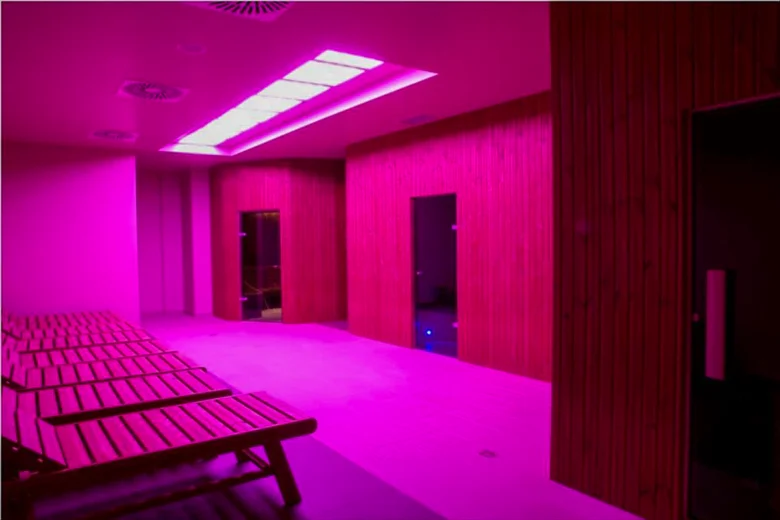 Sauna v bazénu s dřevěnými lavicemi pod fialovým světlem