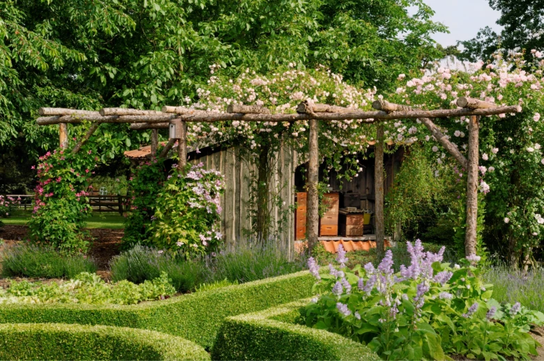 Pergola s růžemi vedle dřevěné stodoly v zahradě.