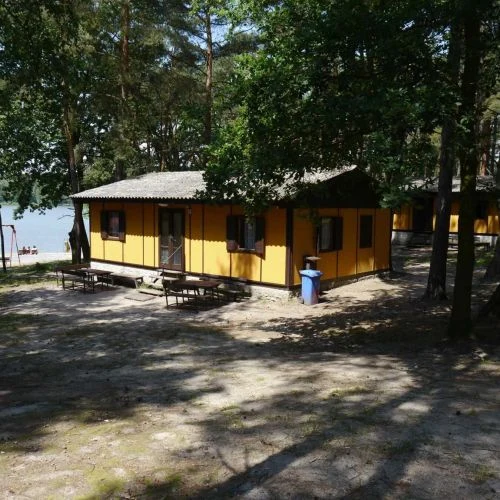 Žluté chaty v lese u jezera na kempu Holany
