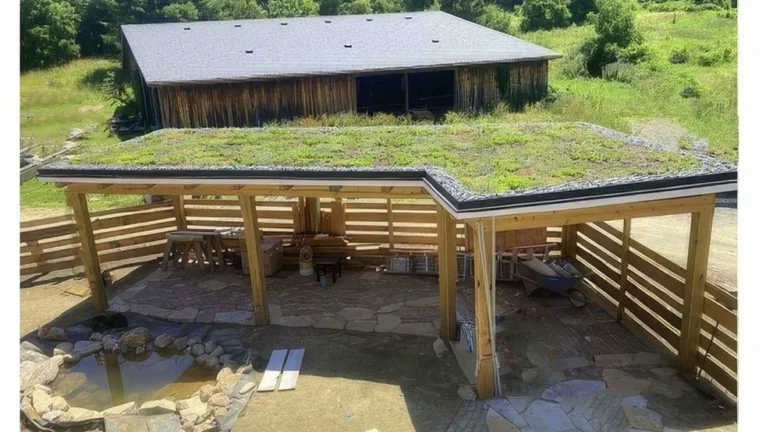 Moderní budova s zelenou střechou pod dřevěnou pergolou.
