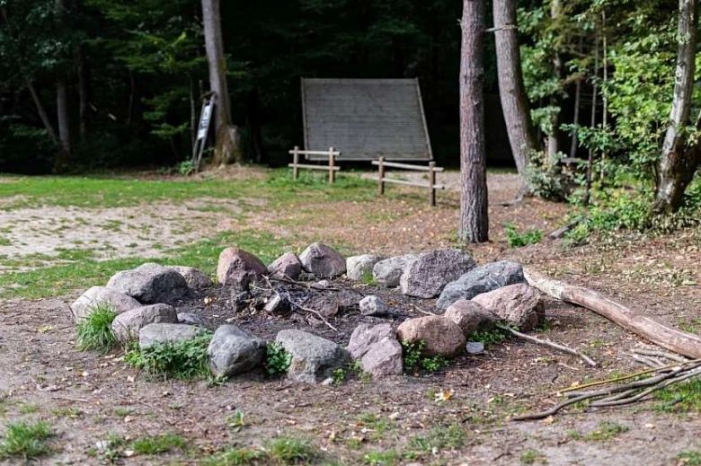 Kamenné ohniště s dřevem v lesní clearing