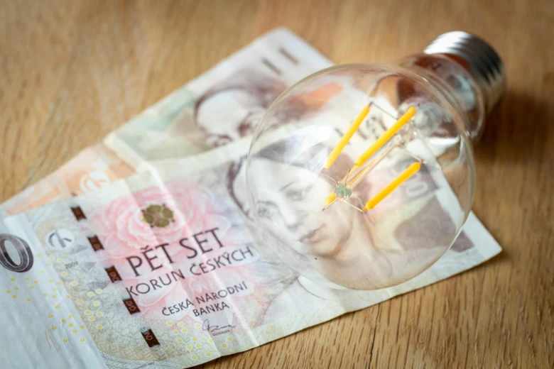 Žárovka na české koruně jako metafora pro investici do zateplování.