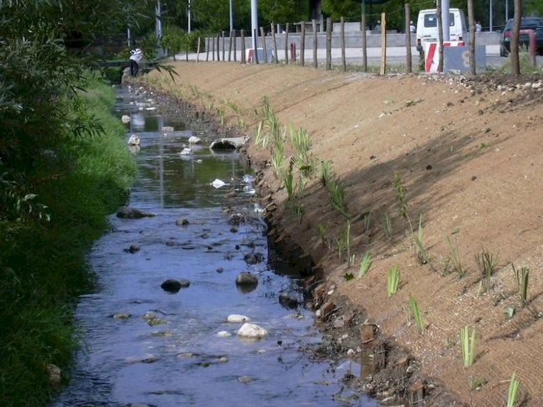 Přítok s erozí svahu a nově vysazenou vegetací pro zpevnění.