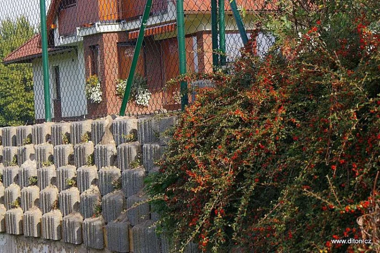Svahové tvárnice z betonu před domem s plotem a keřem.