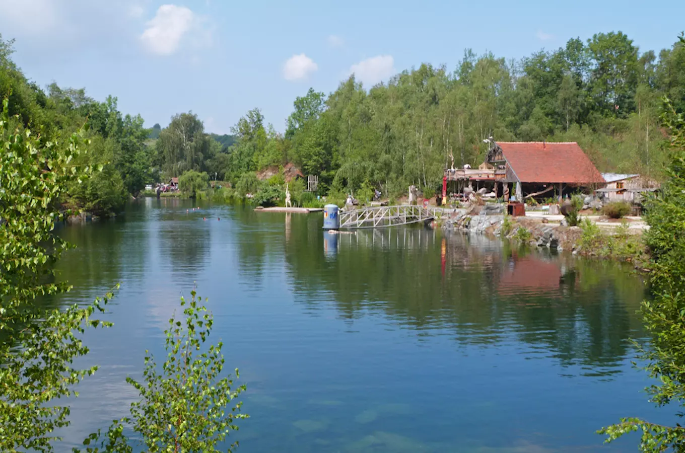 Přírodní koupaliště s jezerem v okolí Plzně obklopené stromy.