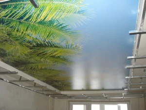 Stropní podhled s tropickou stěnou a viditelnými nosnými prvky.
